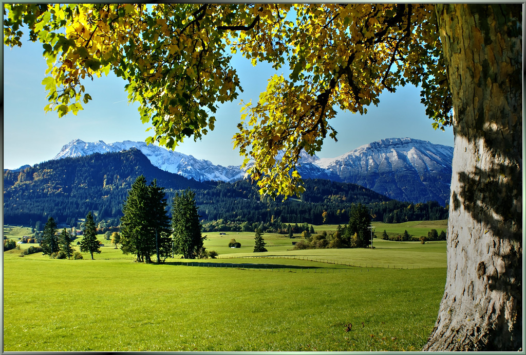 Herbst im Allgäu. ©UdoSm