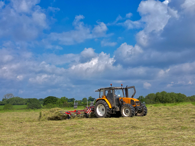 Silage time