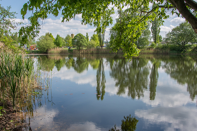 Angelteich bei Neukirchen