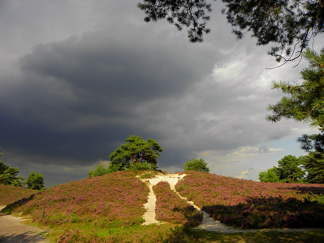 Thunderstorm