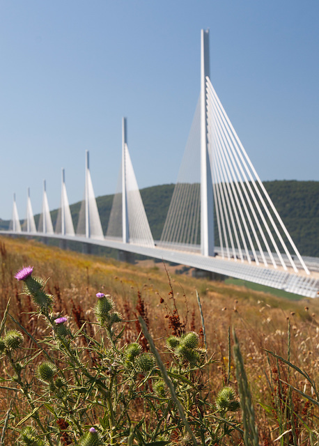 Millau Viaduct