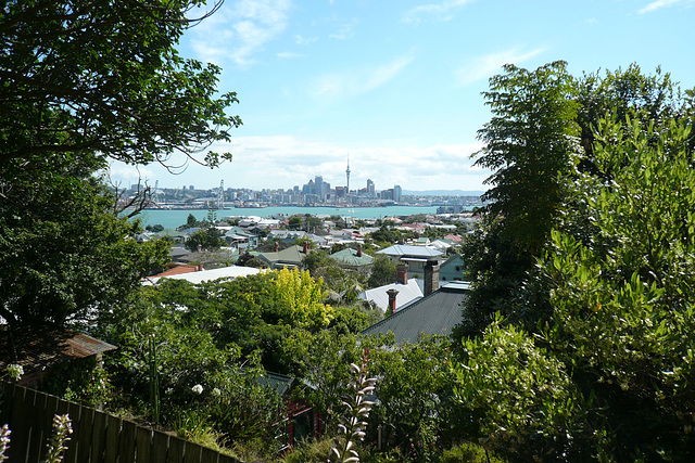 View From Devonport