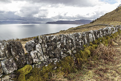 Enclosure by Hallaig path - west wall detail