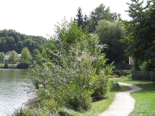 Rundweg Bodenwöhrer Weiher