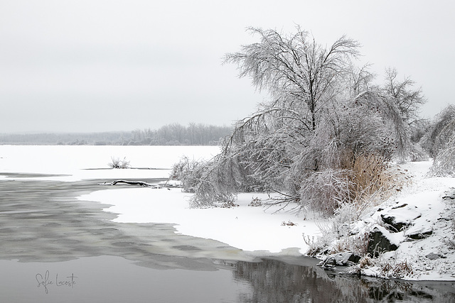 monochromie hivernale