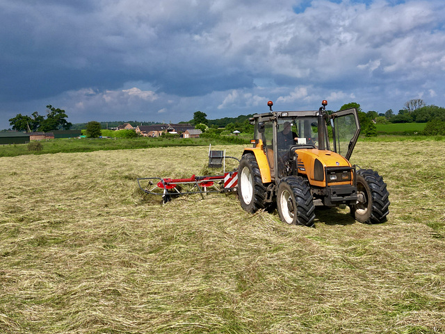 Silage time