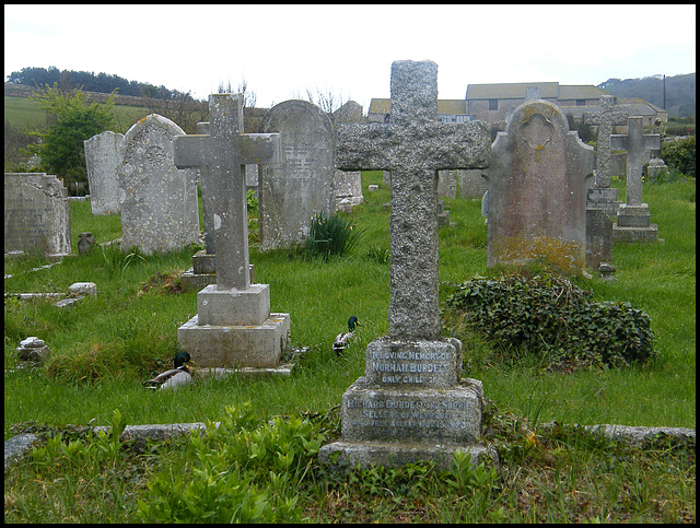 ducks in the churchyard