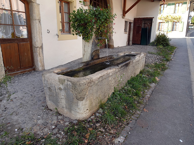 Brunnen im Herbst