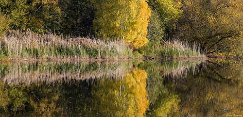 Wonderful colors of autumn (PiP)