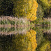 Wonderful colors of autumn (PiP)