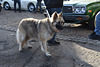 hmbmfeb192023 (1036)