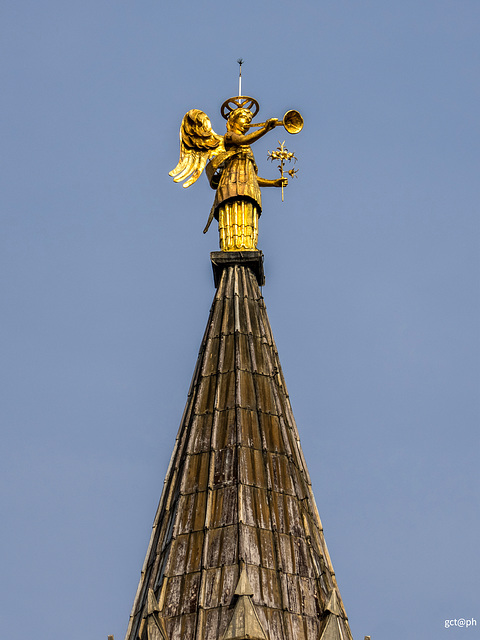 Basilica di Sant’Antonio. Statua dell’Angelo.