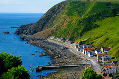 Crovie