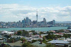 Auckland Skyline From Devonport