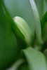 DSCF2648