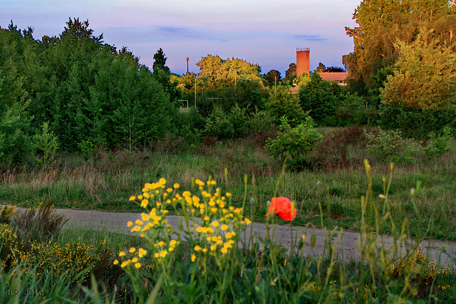 Abends am Dorfrand