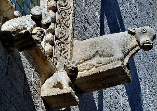 Bisceglie - Concattedrale di San Pietro Apostolo