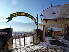 Blick vom Schloss nach Aigle