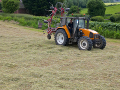 Silage time