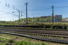Köln - Fahrt mit dem historischen Schienenbus