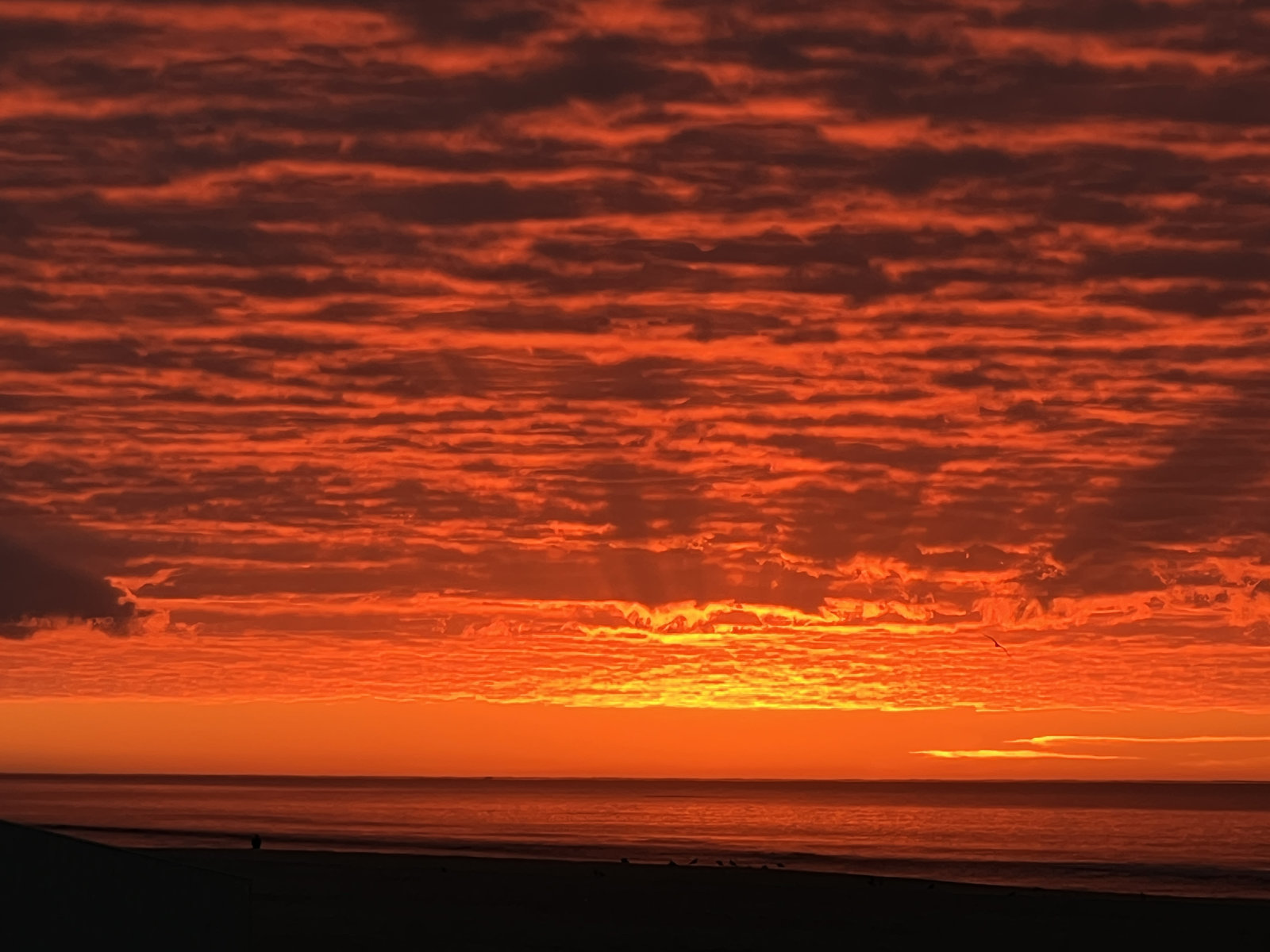 Monte Gordo, Daybreak 4