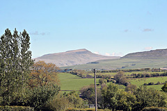 Whernside 2415 Ft (736 mtr) from Mill Dam Cottage Yorkshire Dales 10th May 2026.