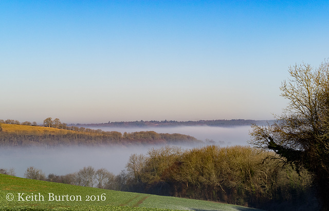 Misty Morning (2)