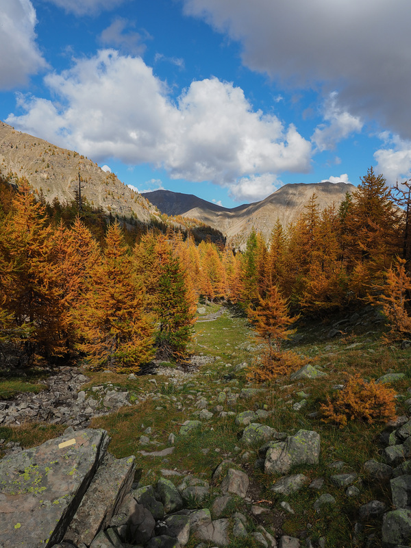 Couleurs d'Automne