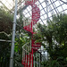 Staircase In The Greenhouse