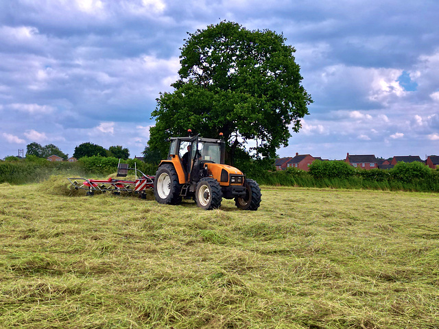 Silage time