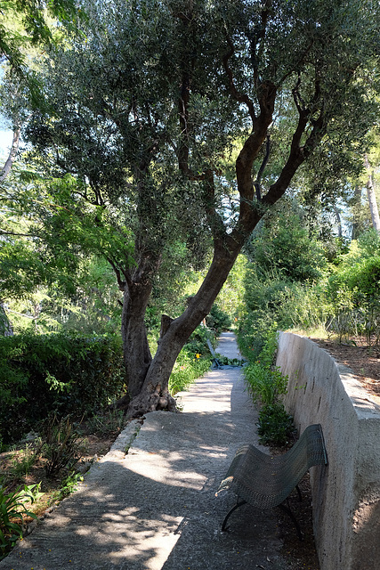 SAINT-JEAN CAP-FERRAT: Visite de la Villa EPHRUSSI DE ROTHSCHILD. 35