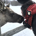 “I kissed a moose, I liked it”