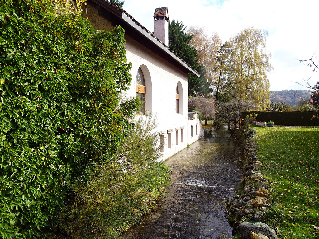 Der Fluss La Venoge bei Eclépens