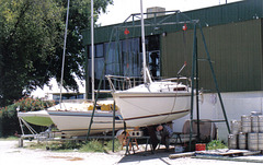1992 Canberra Yacht Club 'C'est la vie' Cole 23