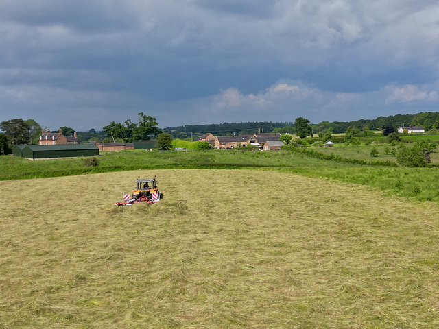 Silage time