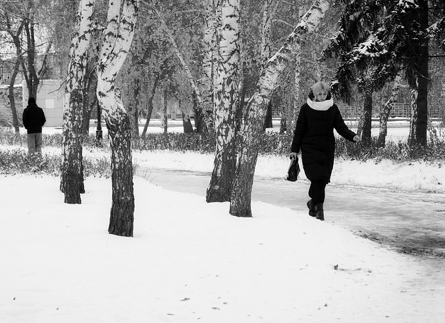 Among the birches