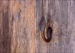 hWW....früh krümmt sich, was ein Haken werden will hWW....früh krümmt sich, was ein Haken werden will