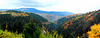 Autumn panorama
