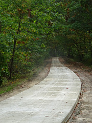 New paved road  through the Brunssummer heathlands
