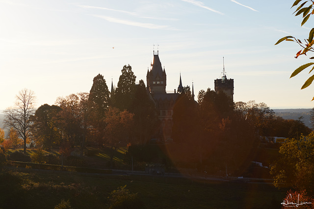 Drachenburg im Gegenlicht