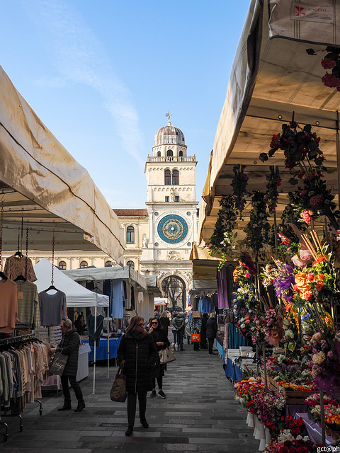 La Torre dell’Orologio dal mercato di Piazza dei Signori.