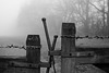 The Gate in the Mist (B&W)