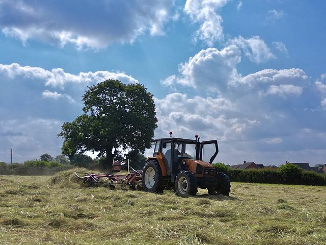 Silage time