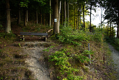 Bank am Kneipp-Weg zum Olsberg - HBM!