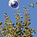Ballonfahrt
