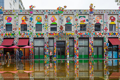 269-365, Knallbunt am Rosenhof