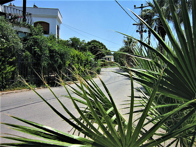 The road adjacent to Mandi's home