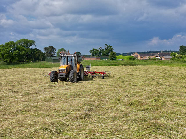 Silage time