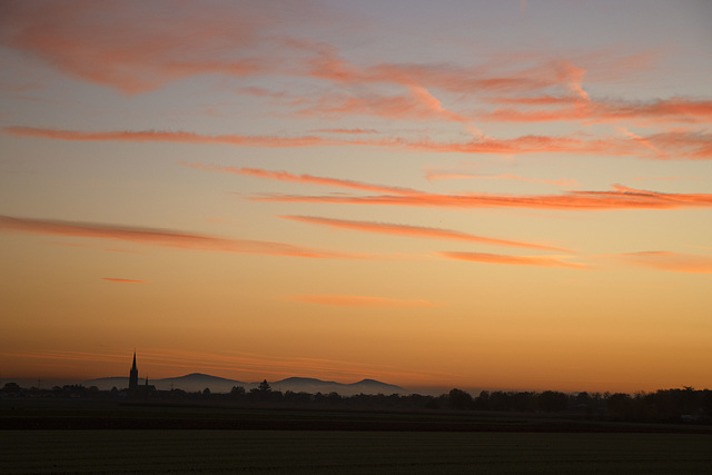 311 von 365 311 von 365