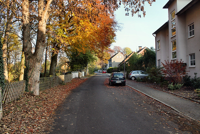 Kletterstraße (Unna-Massen) / 12.11.2016